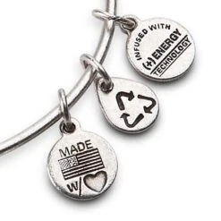 Disney Alex And Ani Bracelet - Disney World Castle - Silver -Disney 22868 2