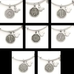Disney Alex And Ani Bracelet - Initial - Silver -Disney 24325 S Z