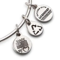 Disney Alex And Ani Bracelet - Disneyland Castle - Silver -Disney 400006561671 2