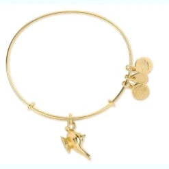 Disney Alex And Ani Bracelet Set - Genie & Genie Lamp -Disney 74981 6s