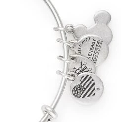 Disney Alex And Ani Bracelet - Cinderella - ''Have Courage And Be Kind'' -Disney 94228205